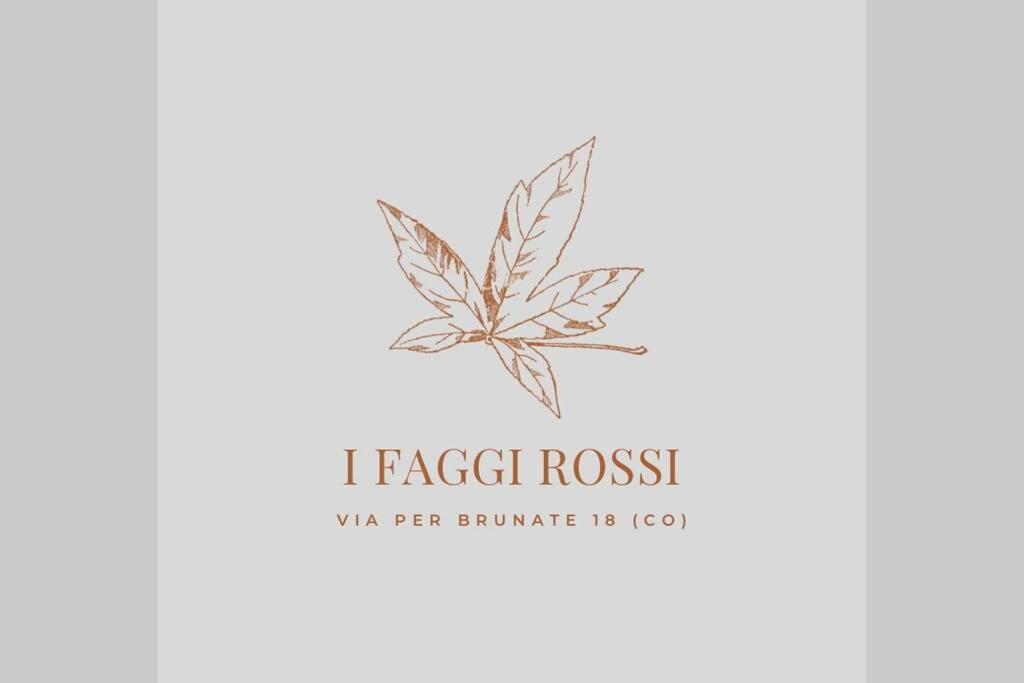 I Faggi Rossi - Red Beech Trees Villa Como Exterior photo