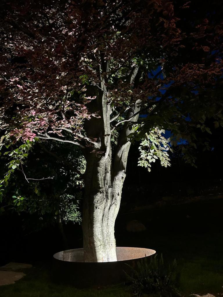 I Faggi Rossi - Red Beech Trees Villa Como Exterior photo